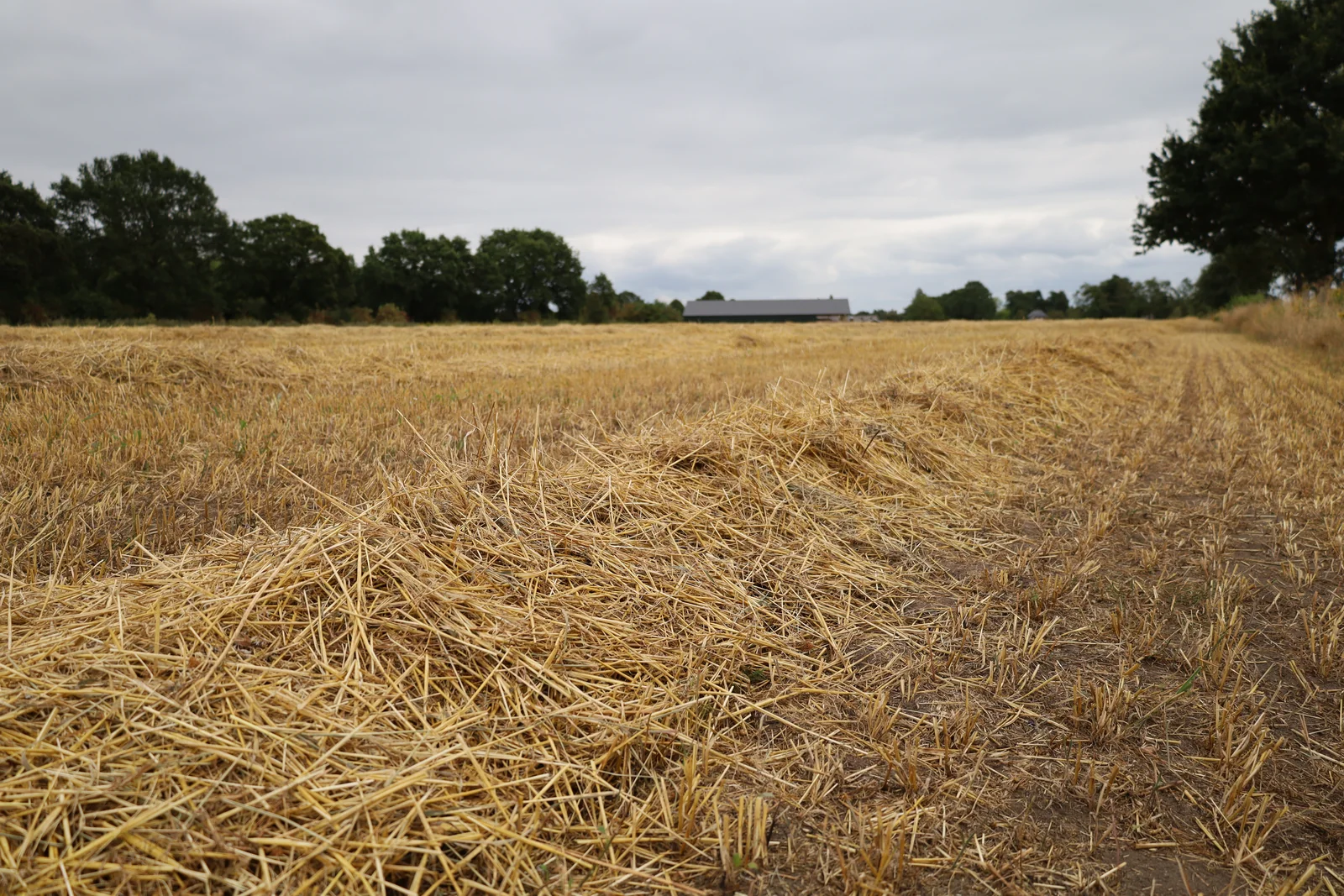 Het land na de oogst