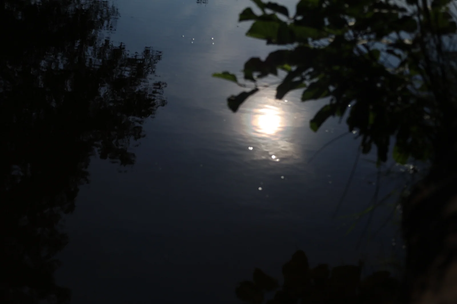 Licht boven het stille water