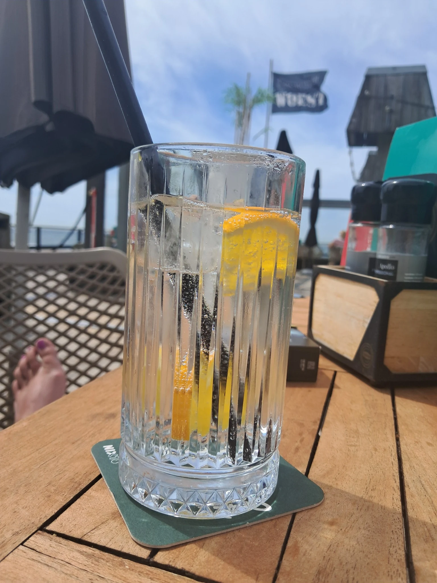 Citrusfris op het terras